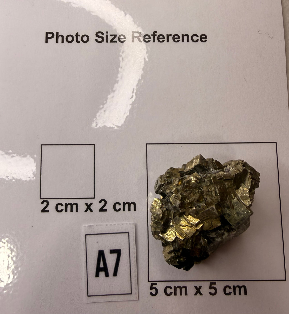 Pyrite cluster on grey backdrop, full specimen view, New Zealand collected