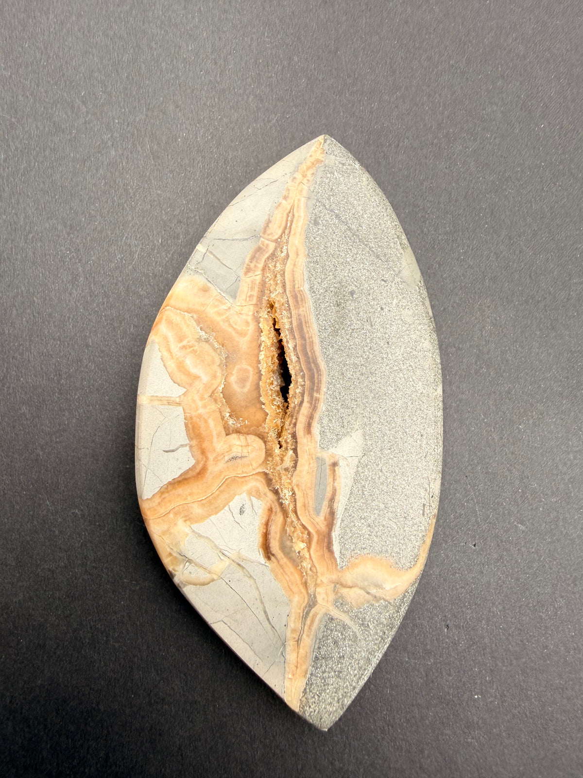 Polished septarian nodule slice from Gisborne New Zealand showing calcite-lined pocket