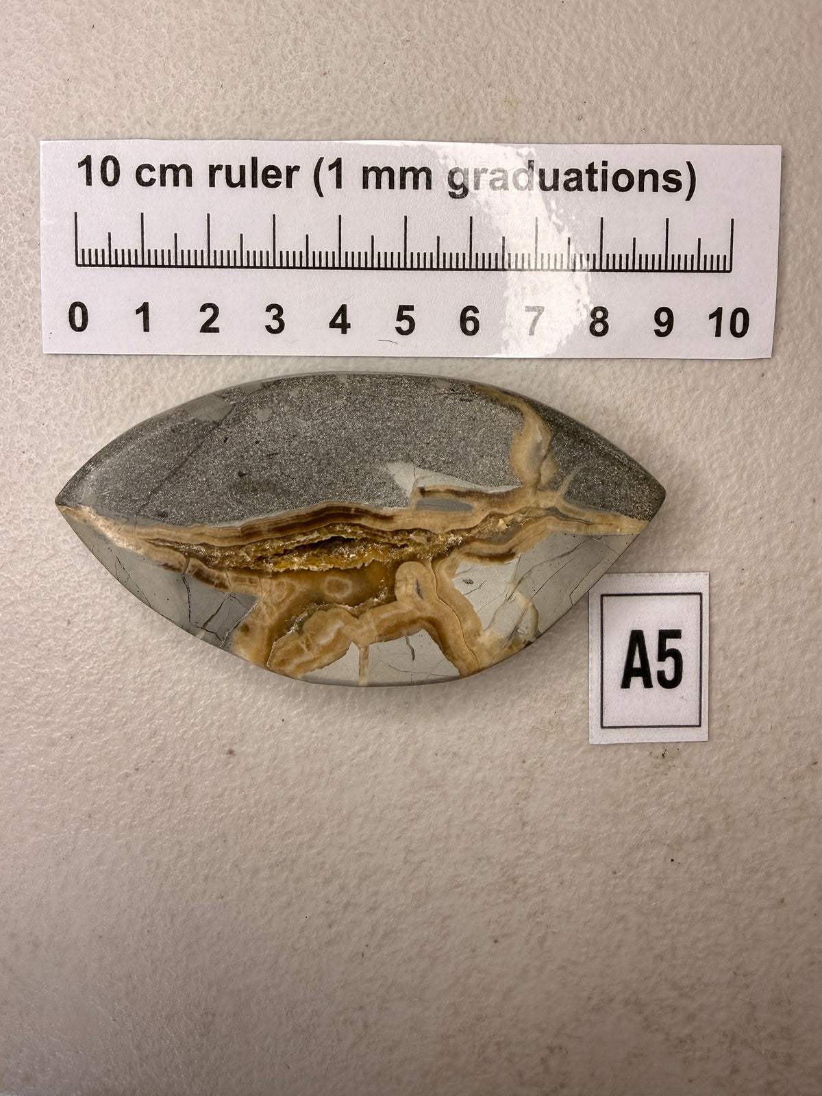 Septarian nodule specimen, full view, hand-carved and polished by NZ Pyrites