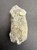 Small pyrite crystal on host rock resembling fossilised wood turned to coal, New Zealand