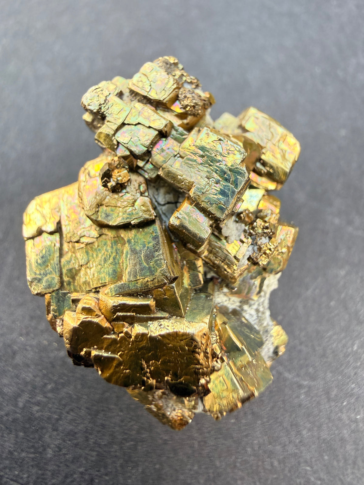 Iridescent pyrite cluster specimen, full view, New Zealand collected mineral